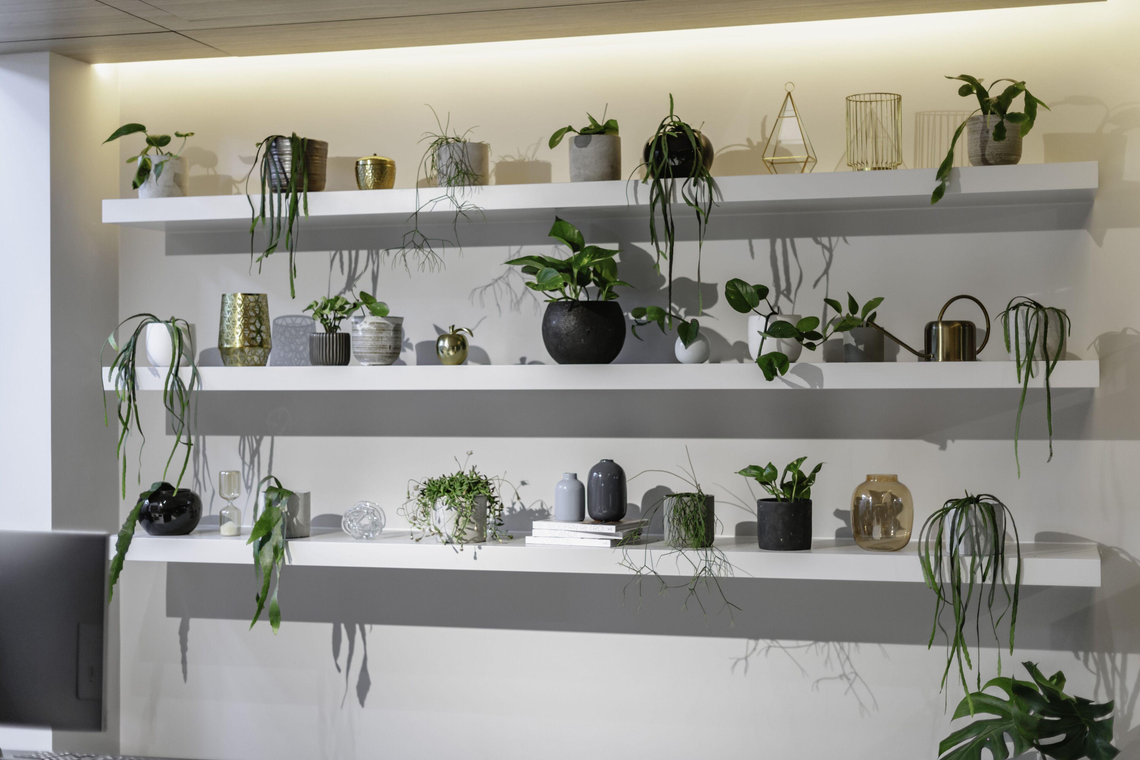 Brady Hotels Jones Lane — Photos 2